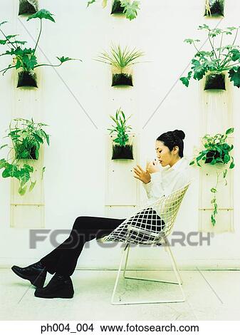 Young woman sitting on wire-framed chairs, potted plants decorated wall background View Large Photo Image Picture - Young woman sitting on wire-framed chairs, potted plants decorated wall background. Fotosearch