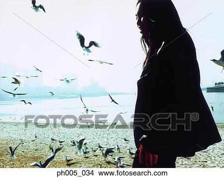 Woman standing on beach, seagulls flying View Large Photo Image Picture - Woman standing on beach, seagulls flying . Fotosearch