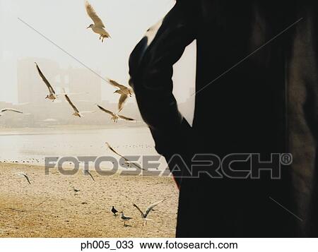 Stock Image - Woman standing on beach, seagulls flying . Fotosearch