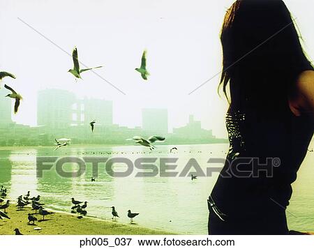 Stock Photo - Woman standing on beach, seagulls flying, silhouette. Fotosearch