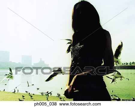 Stock Photo - Woman standing on beach, seagulls flying, silhouette. Fotosearch