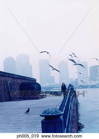 Woman walking along jetty, Tokyo city in background, a flock of seagulls View Large Photo Image Stock Photo - Woman walking along jetty, Tokyo city in background, a flock of seagulls. Fotosearch