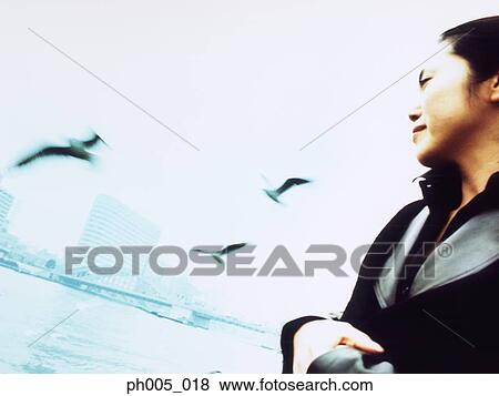 Young woman at waterfront, city in Background, seagulls flying View Large Photo Image Stock Photo - Young woman at waterfront, city in Background, seagulls flying. Fotosearch