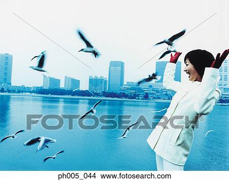 Young woman with city in background, seagulls flying View Large Photo Image Picture - Young woman with city in background, seagulls flying. Fotosearch