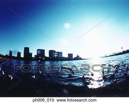 An aerial fisheye lens view of Tokyo Bay, Japan View Large Photo Image Stock Photography - An aerial fisheye lens view of Tokyo Bay, Japan. Fotosearch