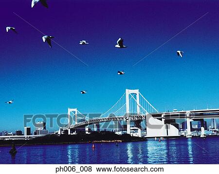 Stock Photo - Tokyo Bay, Rainbow Bridge, Tokyo . Fotosearch