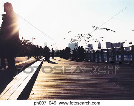 People on jetty, seagulls flying overhead, silhouette View Large Photo Image Stock Photo - People on jetty, seagulls flying overhead, silhouette. Fotosearch