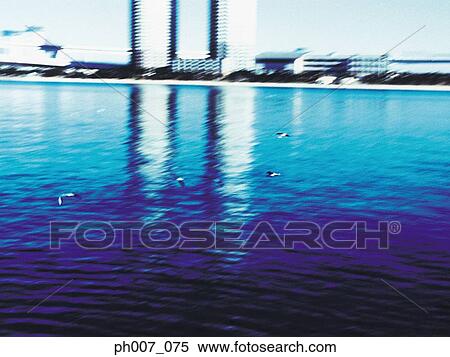 Water reflection of building structures, seagulls flying View Large Photo Image Stock Photography - Water reflection of building structures, seagulls flying. Fotosearch