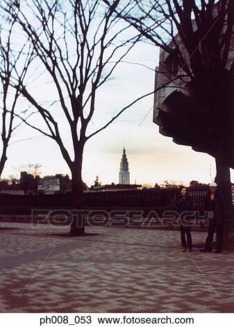 Couple standing under a bare tree View Large Photo Image Stock Image - Couple standing under a bare tree. Fotosearch