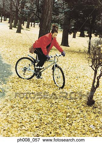 Stock Photo - Woman cycling in a park. Fotosearch
