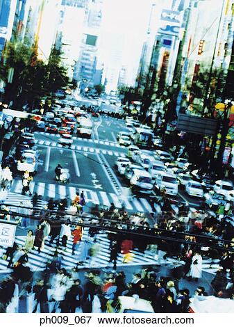 Crowd Walking In Shibuya, Tokyo, Japan View Large Photo Image Stock Photo - Crowd Walking In Shibuya, Tokyo, Japan. Fotosearch