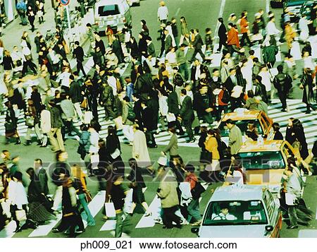 People crossing city street, Shibuya, Tokyo, Japan View Large Photo Image Stock Image - People crossing city street, Shibuya, Tokyo, Japan. Fotosearch