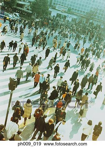 People crossing city street, Shibuya, Tokyo, Japan View Large Photo Image Stock Photo - People crossing city street, Shibuya, Tokyo, Japan. Fotosearch