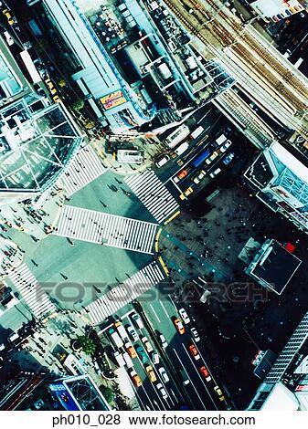 Aerial View of Shibuya-ku, Tokyo, Japan View Large Photo Image Stock Photo - Aerial View of Shibuya-ku, Tokyo, Japan. Fotosearch
