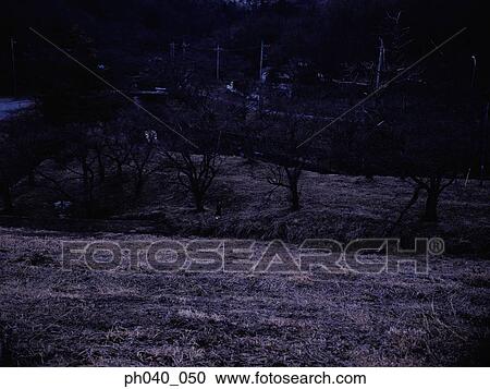 Woman standing in isolated piece of land View Large Photo Image Stock Image - Woman standing in isolated piece of land. Fotosearch
