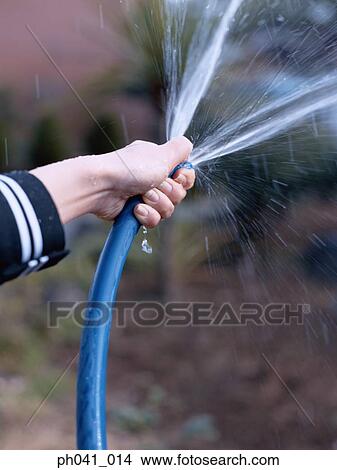 A woman's hand holding a water hose View Large Photo Image Picture - A woman's hand holding a water hose. Fotosearch
