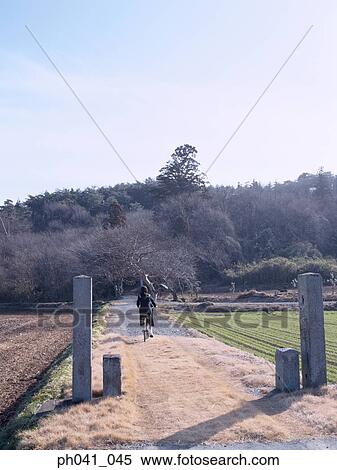 School School girl cycling View Large Photo Image Stock Photography - School School girl cycling. Fotosearch