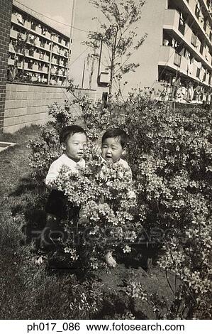 Stock Photograph - Two brothers in a bush. Fotosearch