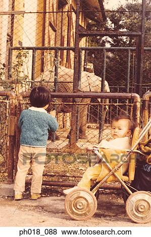 Young children in the zoo View Large Photo Image Stock Photo - Young children in the zoo. Fotosearch