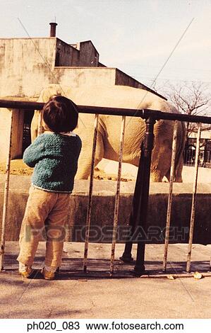 Child looking at elephant in the zoo View Large Photo Image Stock Image - Child looking at elephant in the zoo. Fotosearch