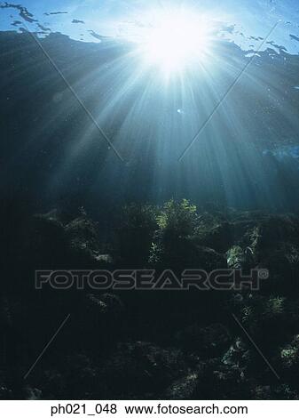 Light shining on coral reef, silhouette View Large Photo Image Stock Photo - Light shining on coral reef, silhouette. Fotosearch