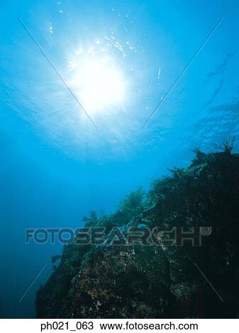 Light shining on coral reef View Large Photo Image Stock Image - Light shining on coral reef . Fotosearch