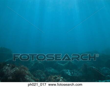 Light shining on coral reef View Large Photo Image Stock Photo - Light shining on coral reef. Fotosearch