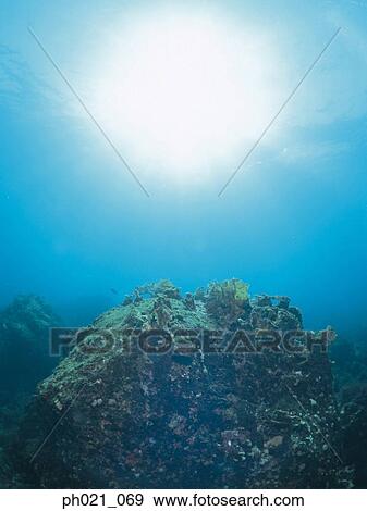 Light shining on coral reef View Large Photo Image Stock Photo - Light shining on coral reef . Fotosearch