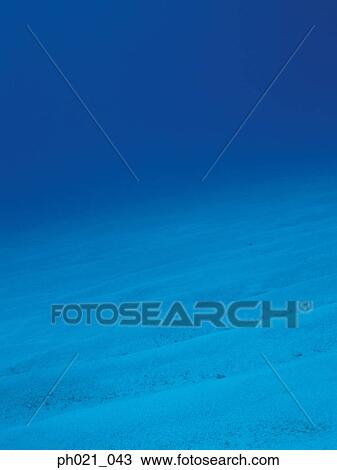 Stock Image - Ocean floor. Fotosearch
