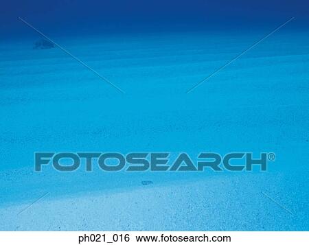 Ocean floor View Large Photo Image Stock Photograph - Ocean floor. Fotosearch