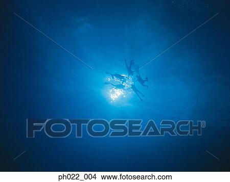 Five scuba divers underwater, silhouette View Large Photo Image Picture - Five scuba divers underwater, silhouette. Fotosearch