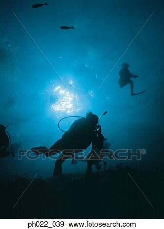 Group of scuba divers View Large Photo Image Stock Photo - Group of scuba divers. Fotosearch