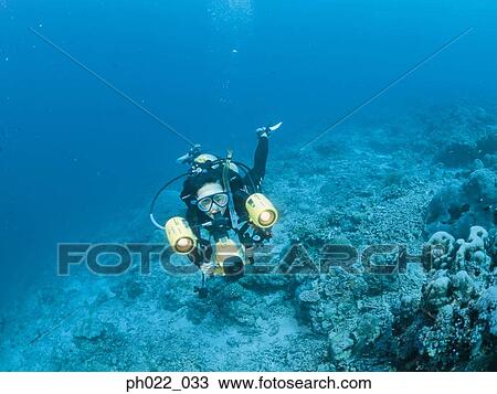 Scuba diver and camera View Large Photo Image Stock Image - Scuba diver and camera. Fotosearch