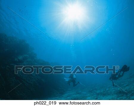 Scuba diver and coral reef View Large Photo Image Stock Photo - Scuba diver and coral reef. Fotosearch
