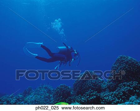 Scuba diver and coral reef View Large Photo Image Stock Photography - Scuba diver and coral reef. Fotosearch