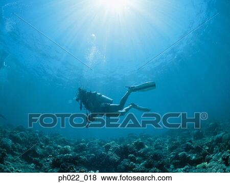 Scuba diver and ocean floor View Large Photo Image Stock Photo - Scuba diver and ocean floor. Fotosearch