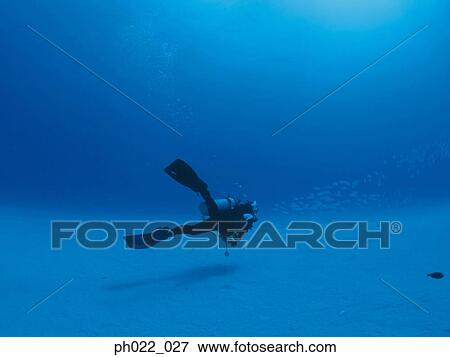Scuba diver and ocean floor View Large Photo Image Stock Photo - Scuba diver and ocean floor. Fotosearch
