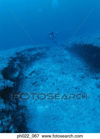 Scuba diver and ocean floor View Large Photo Image Stock Photo - Scuba diver and ocean floor. Fotosearch