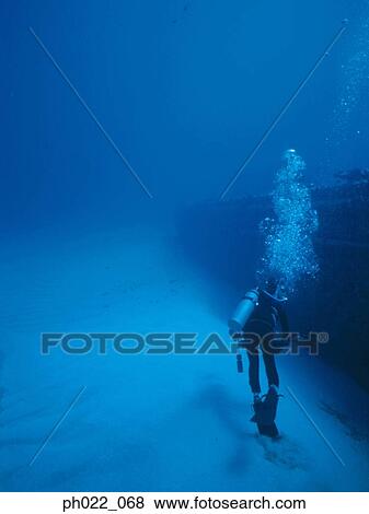 Scuba diver and ocean floor View Large Photo Image Stock Photo - Scuba diver and ocean floor. Fotosearch