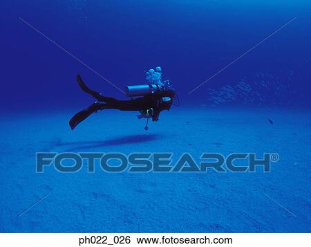 Scuba diver and ocean floor View Large Photo Image Stock Photograph - Scuba diver and ocean floor. Fotosearch