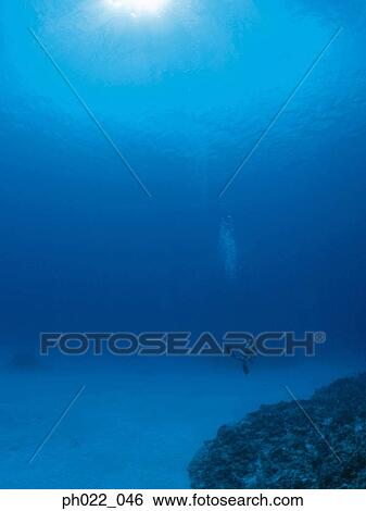 Scuba diver and ocean floor View Large Photo Image Stock Photograph - Scuba diver and ocean floor. Fotosearch