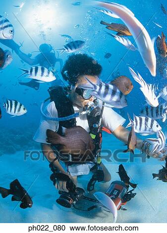 Scuba diver and school of fish View Large Photo Image Stock Image - Scuba diver and school of fish. Fotosearch