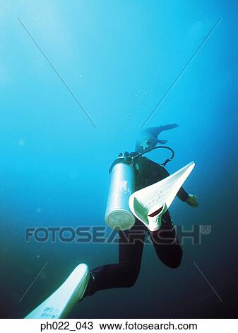 Scuba diver, rear view View Large Photo Image Stock Image - Scuba diver, rear view. Fotosearch