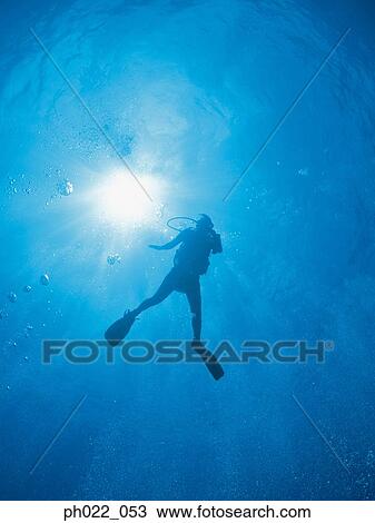 Scuba diver rising to surface, silhouette View Large Photo Image Stock Image - Scuba diver rising to surface, silhouette. Fotosearch