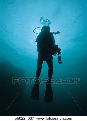 Scuba diver rising to surface, silhouette View Large Photo Image Stock Photo - Scuba diver rising to surface, silhouette. Fotosearch