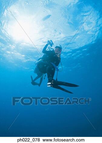 Scuba diver rising to surface, underwater view View Large Photo Image Stock Photo - Scuba diver rising to surface, underwater view. Fotosearch
