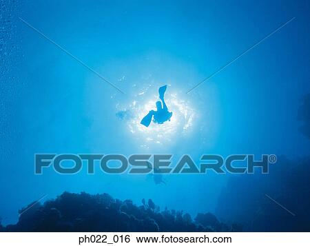Stock Photograph - Scuba diver rising to surface, underwater view. Fotosearch