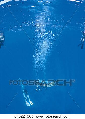 Scuba diver rising to surface View Large Photo Image Stock Photography - Scuba diver rising to surface. Fotosearch