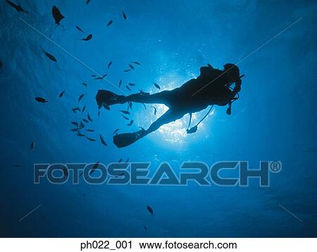Scuba diver underwater, silhouette View Large Photo Image Stock Image - Scuba diver underwater, silhouette. Fotosearch