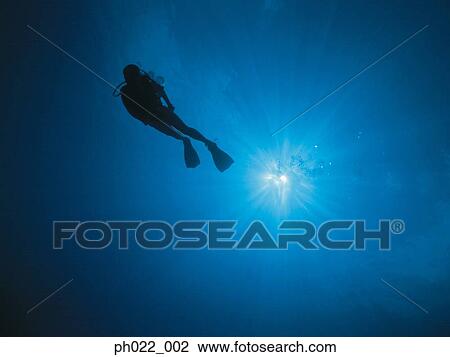 Stock Image - Scuba diver underwater, silhouette. Fotosearch